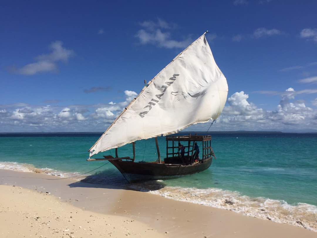 Dhow cruise
