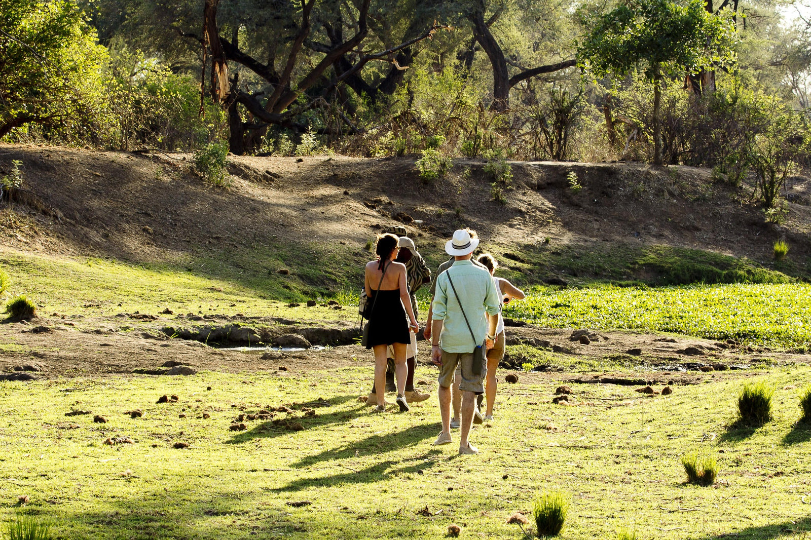 Bush Walks and Hiking