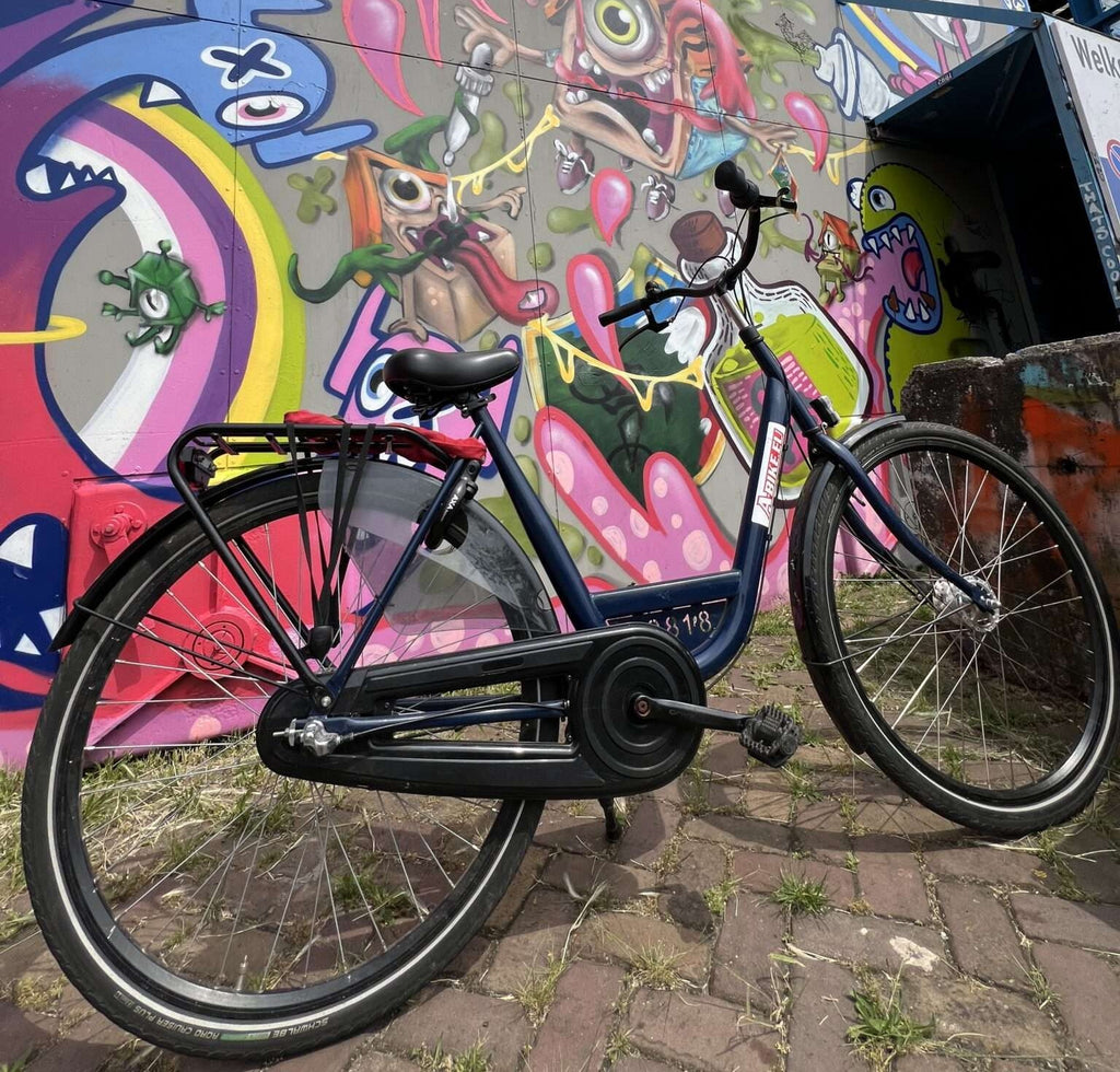 Mike's Bike Tours Amsterdam