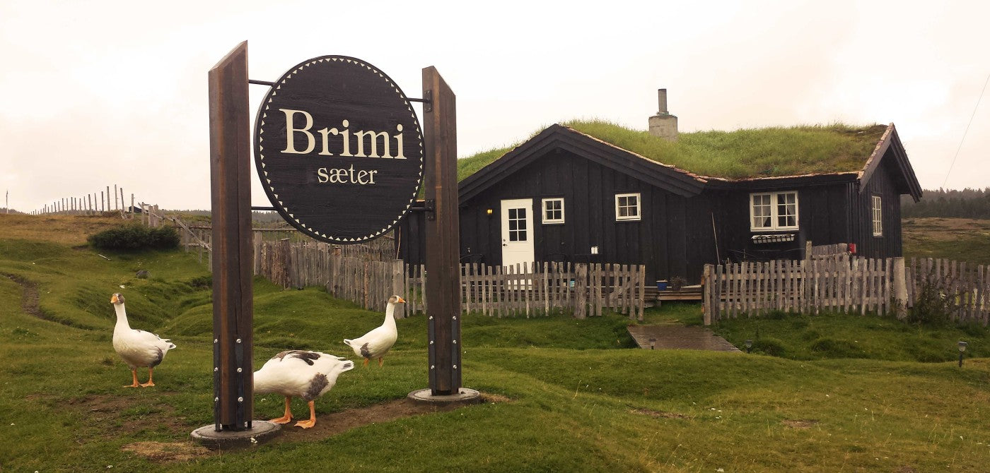 Brimi Seter