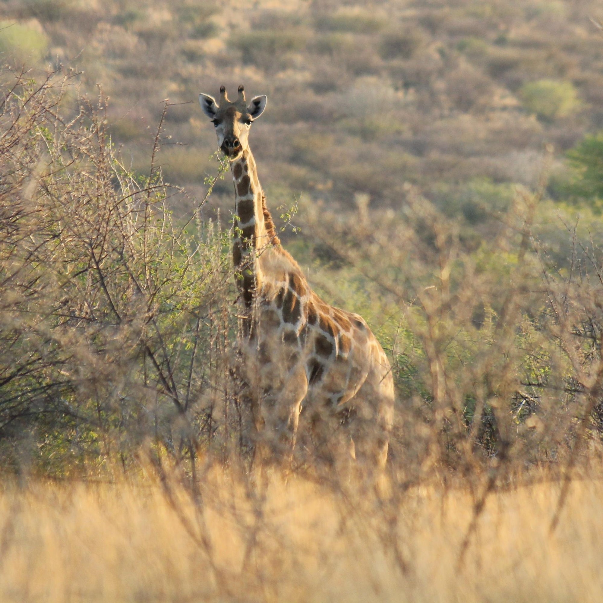 Hiking Trails, Nature Drive and Bird watching gallery image 3