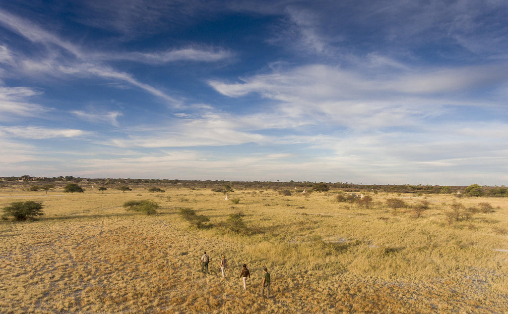 Bush Walks gallery image 4