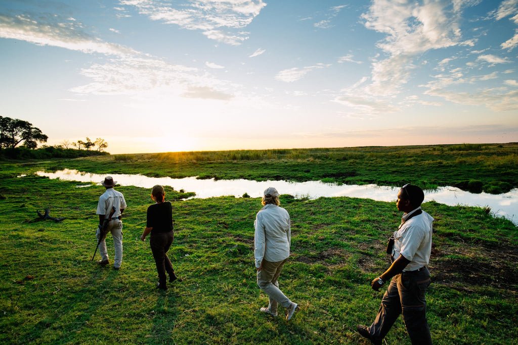 Walking Safaris gallery image 2