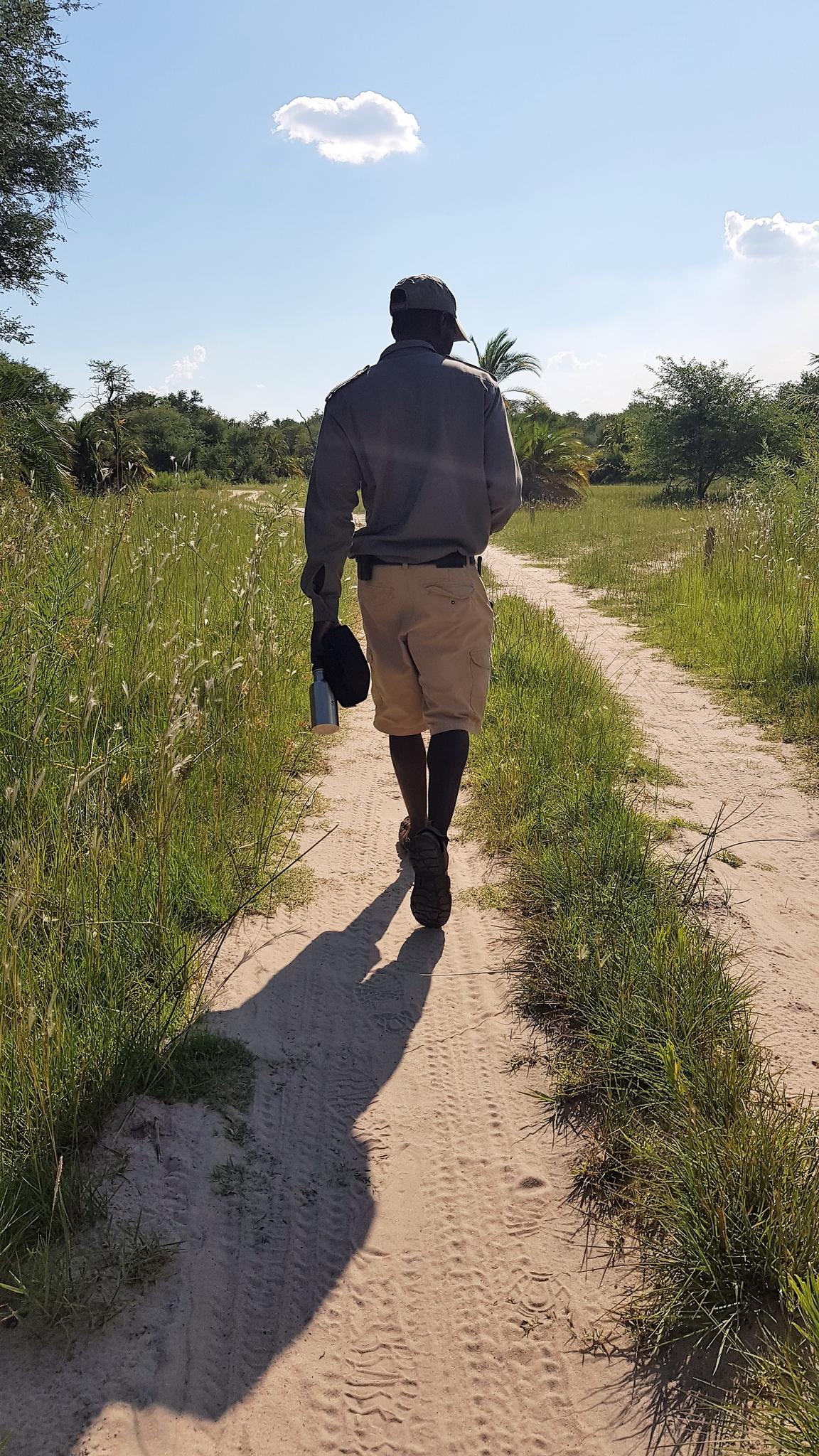 Guided Bush walks gallery image 14