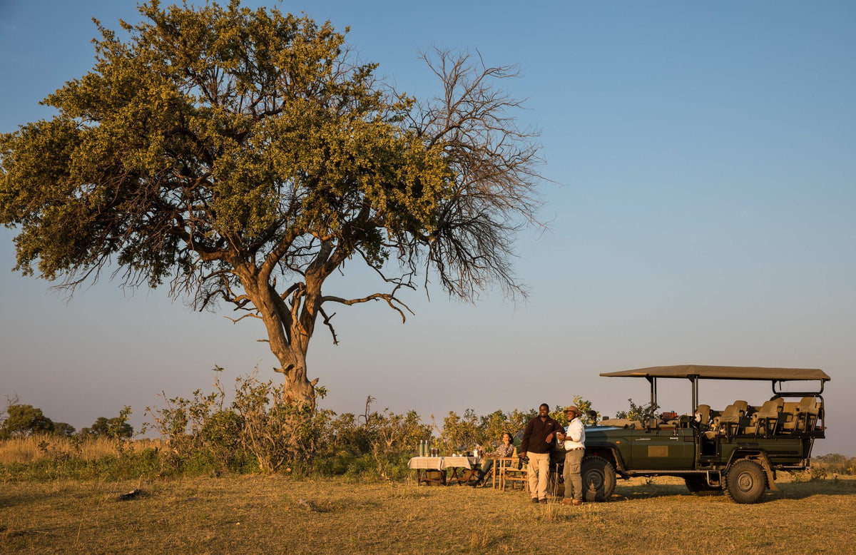 Safari Drives (day & night)
