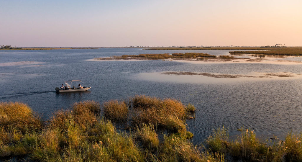 Boat Cruises (Seasonal and water-level dependent)