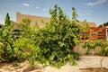 Wild Eden Self-catering