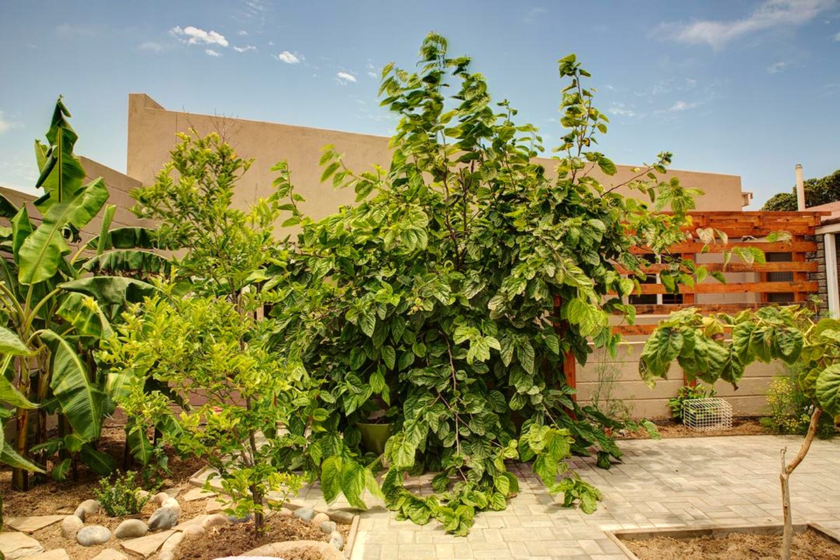 Wild Eden Self-catering