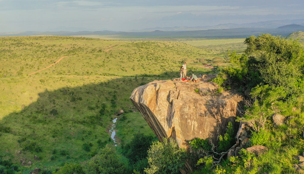 Activities - Pride Rock