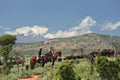 Horse riding with The Big Five