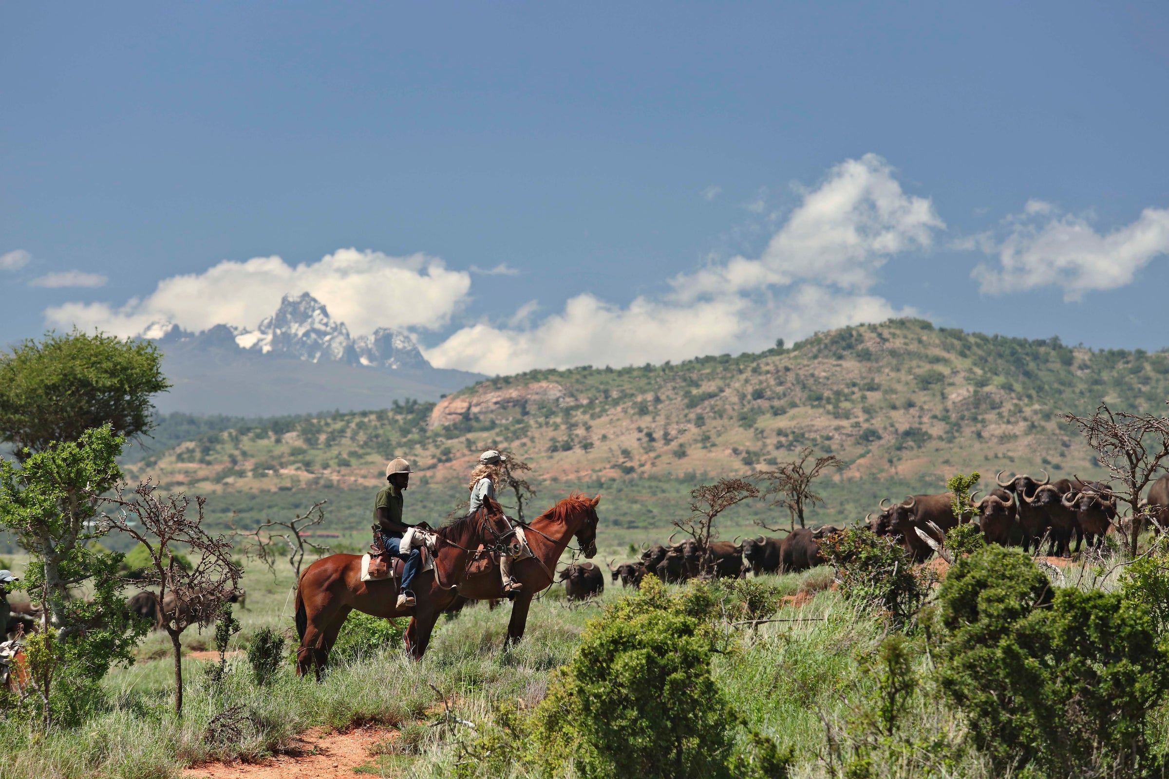 Borana Lodge