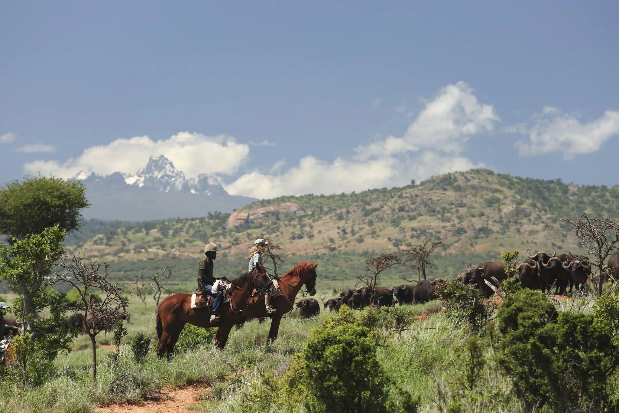 Horse Riding