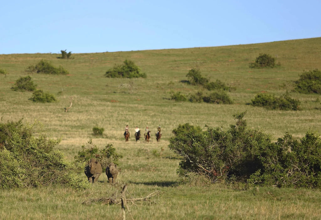 Riding with Rhinos at Borana Lodge, Borana Conservancy, Kenya.