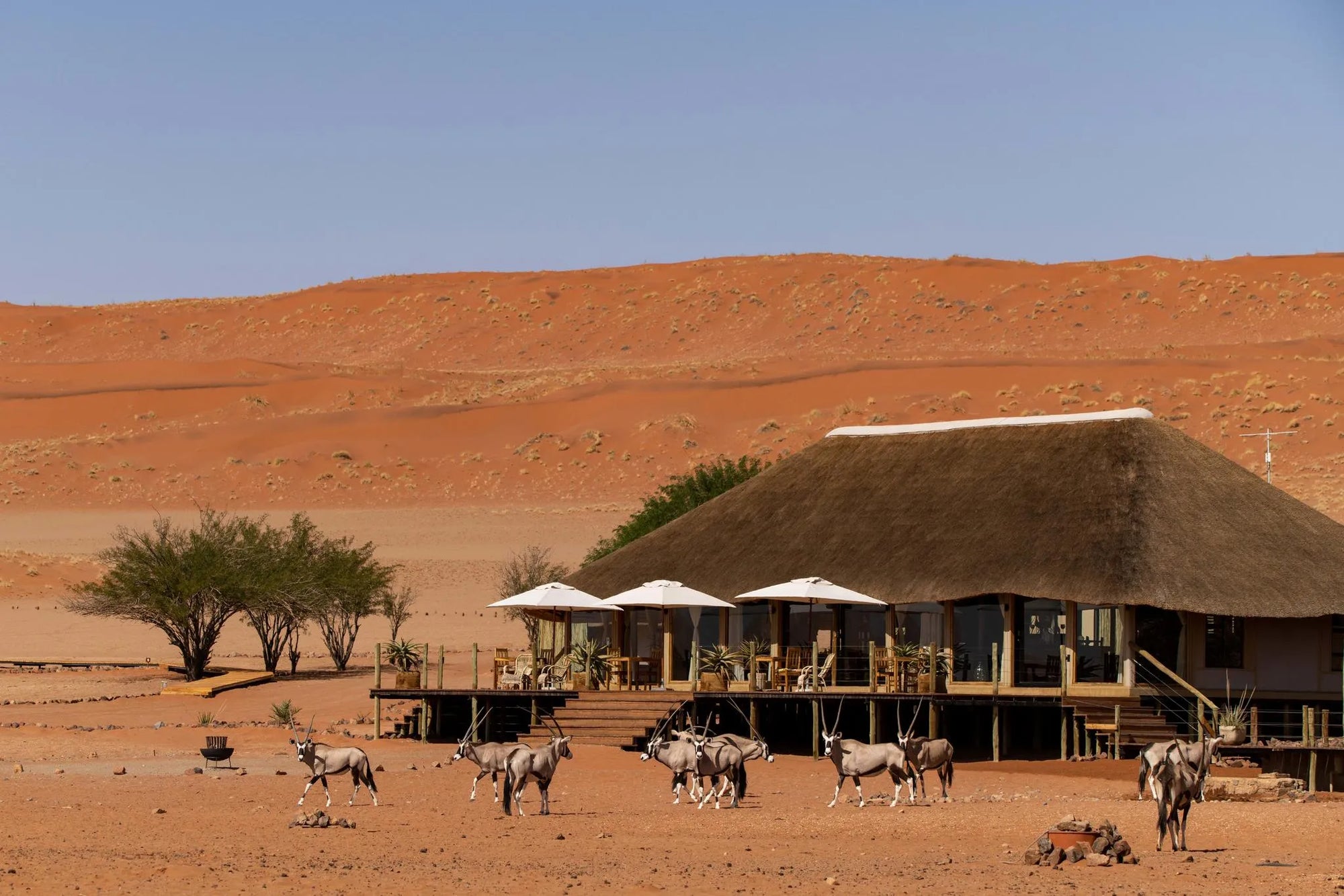 Camp Exterior at Kwessi Dunes, NamibRand Nature Reserve, Namibia.