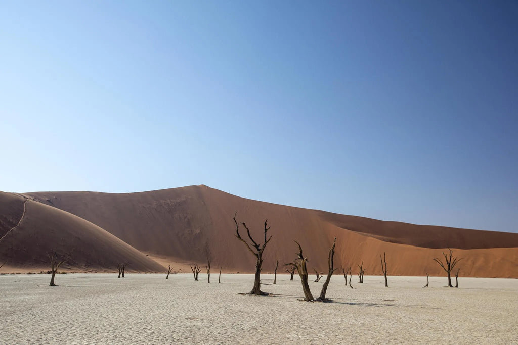 Sossusvlei at Kwessi Dunes, NamibRand Nature Reserve, Namibia.