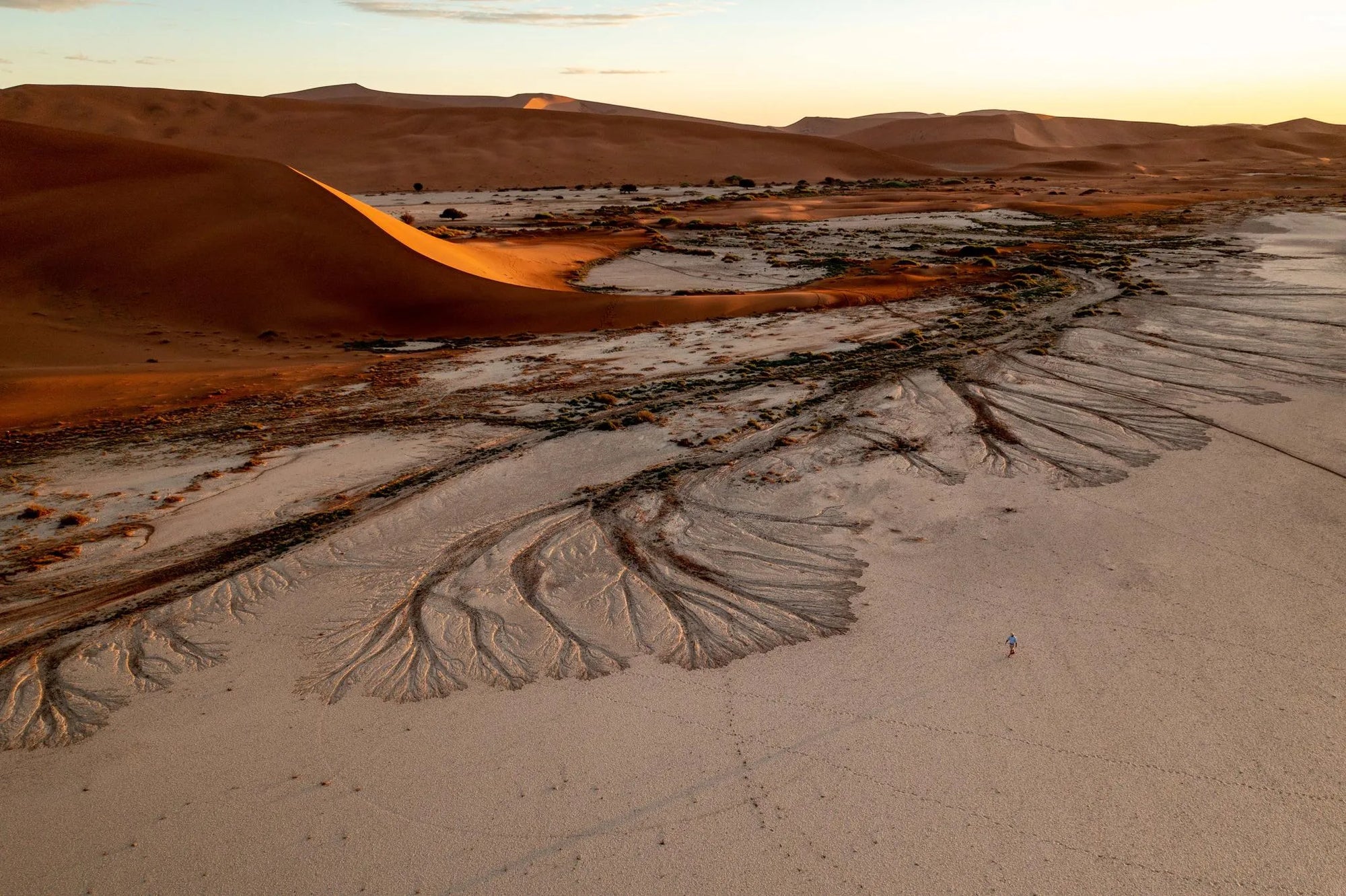 Landscape at Kwessi Dunes, NamibRand Nature Reserve, Namibia.