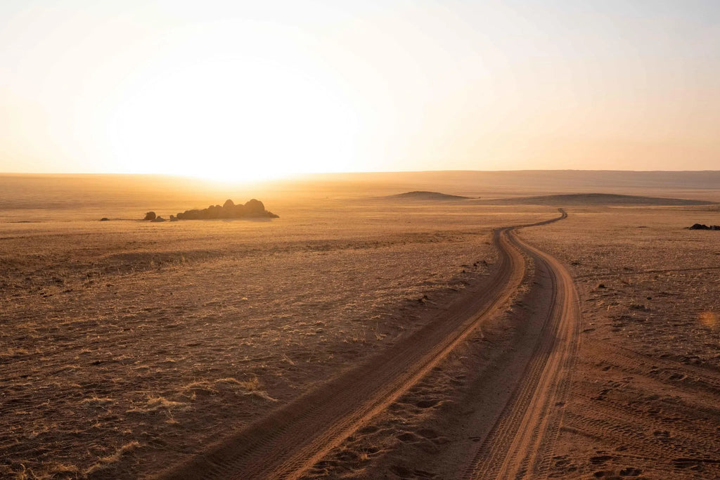 Landscape at Kwessi Dunes, NamibRand Nature Reserve, Namibia.