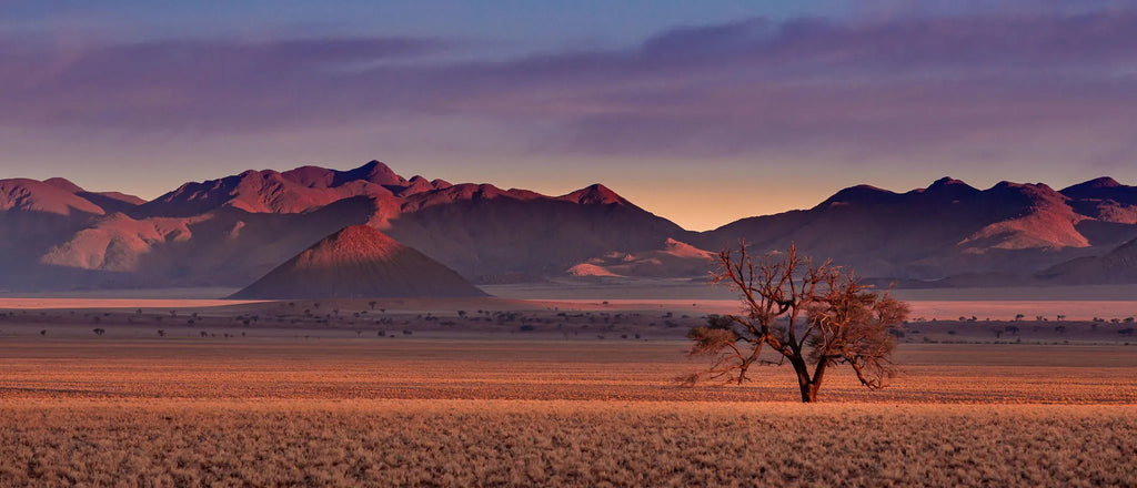 Landscape at Kwessi Dunes, NamibRand Nature Reserve, Namibia.