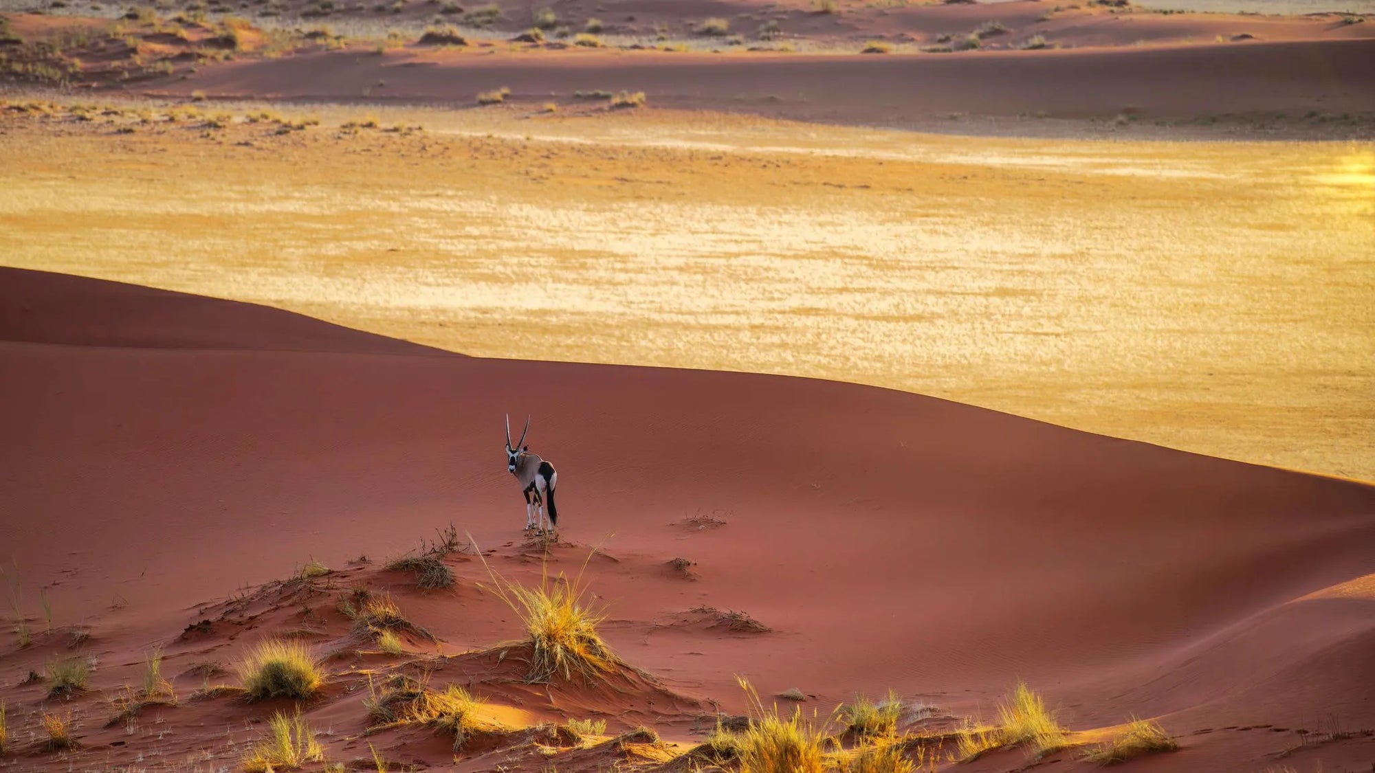 Landscape at Kwessi Dunes, NamibRand Nature Reserve, Namibia.