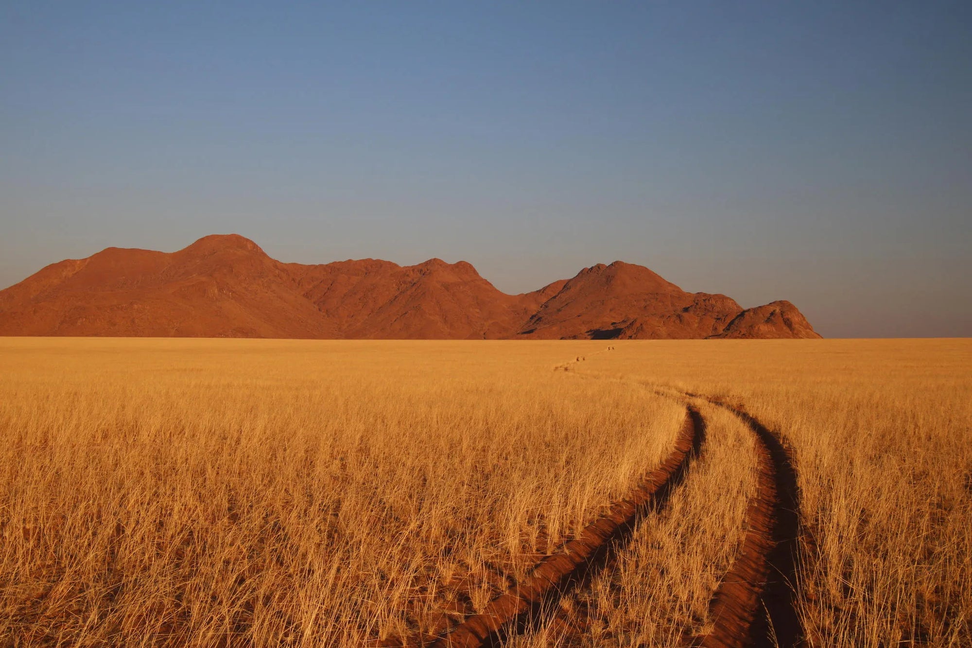 Landscape at Kwessi Dunes, NamibRand Nature Reserve, Namibia.