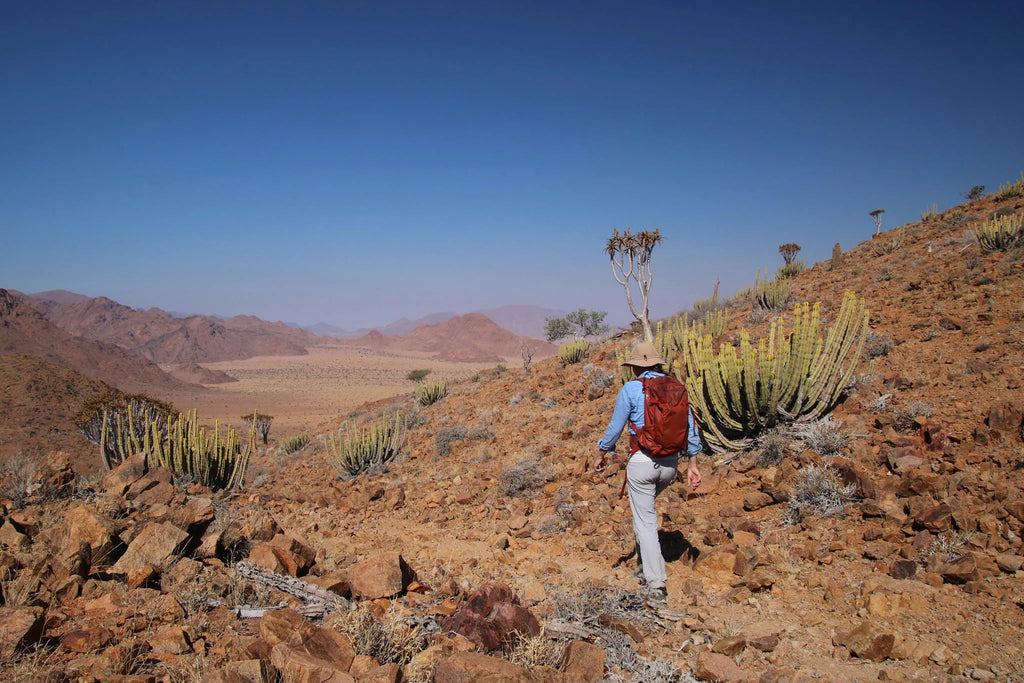 Nature Walk at Kwessi Dunes, NamibRand Nature Reserve, Namibia.