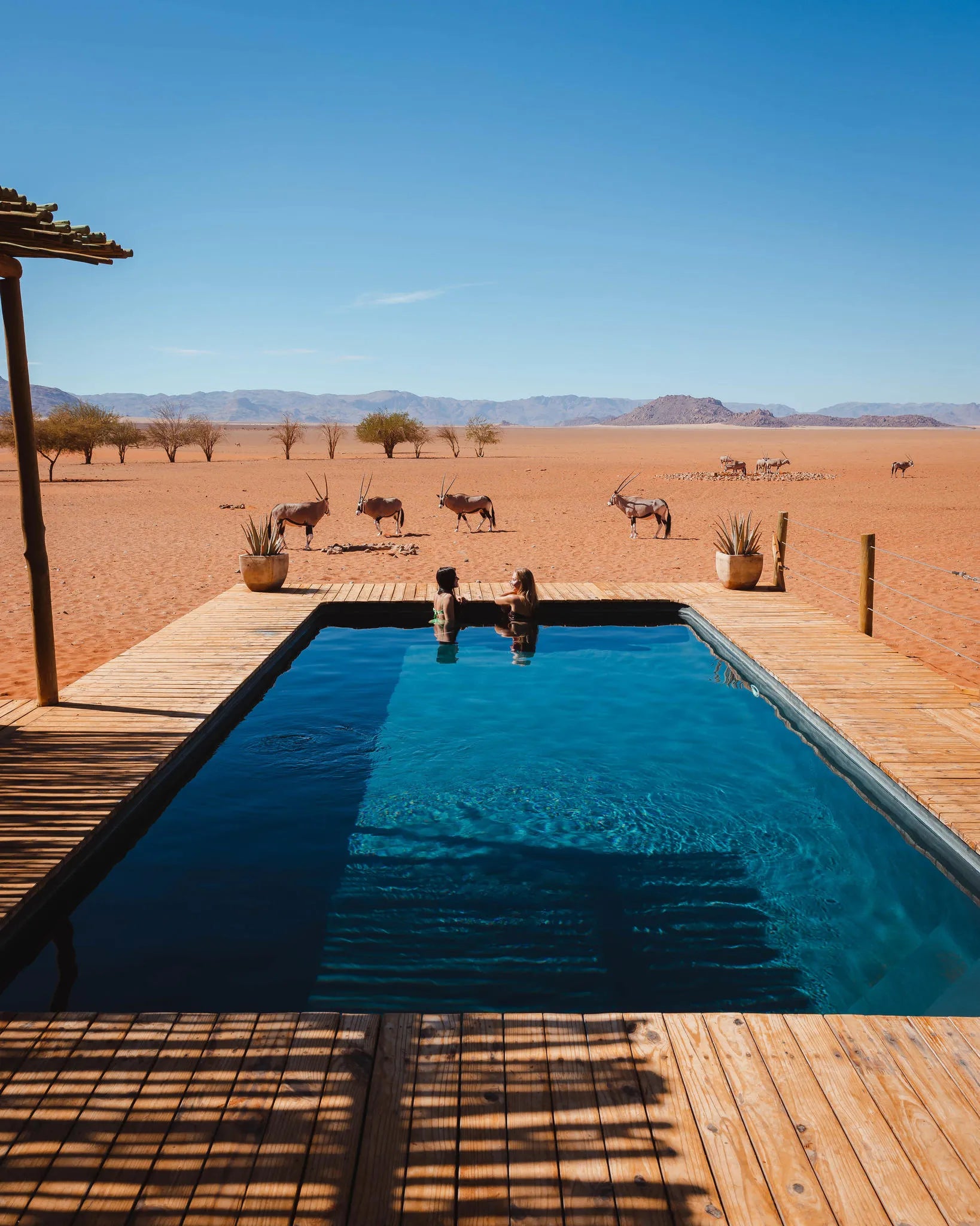 Swimming Pool at Kwessi Dunes, NamibRand Nature Reserve, Namibia.