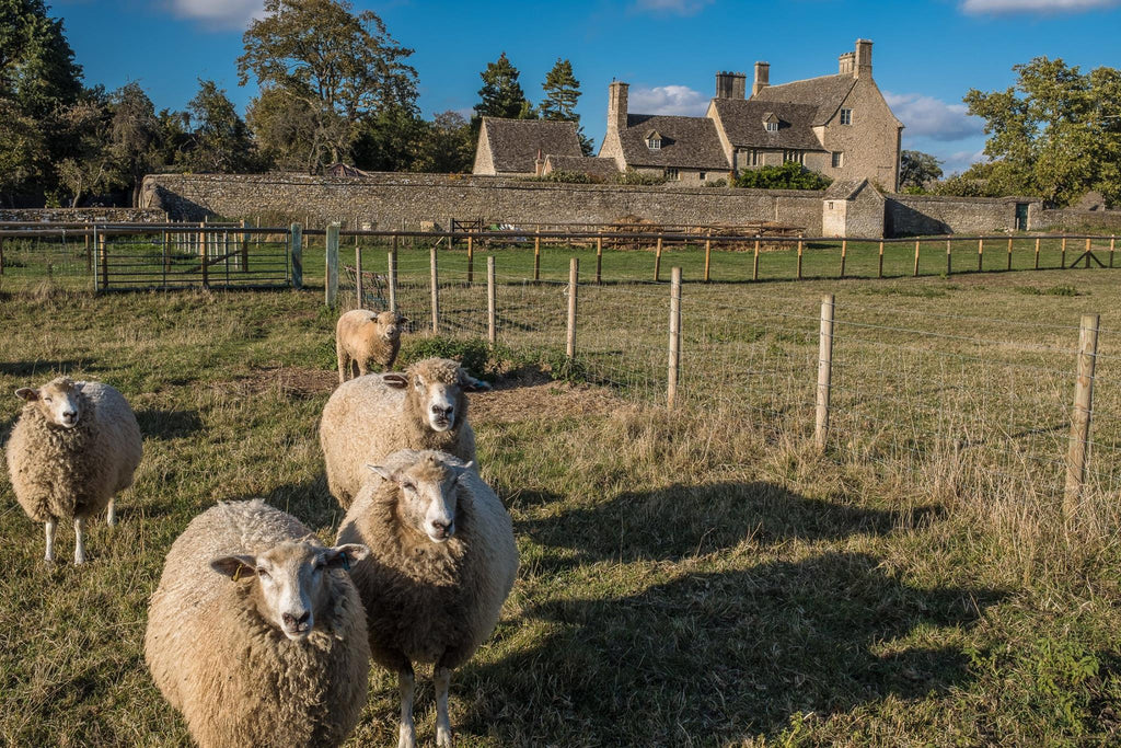 Cogges Manor Farm