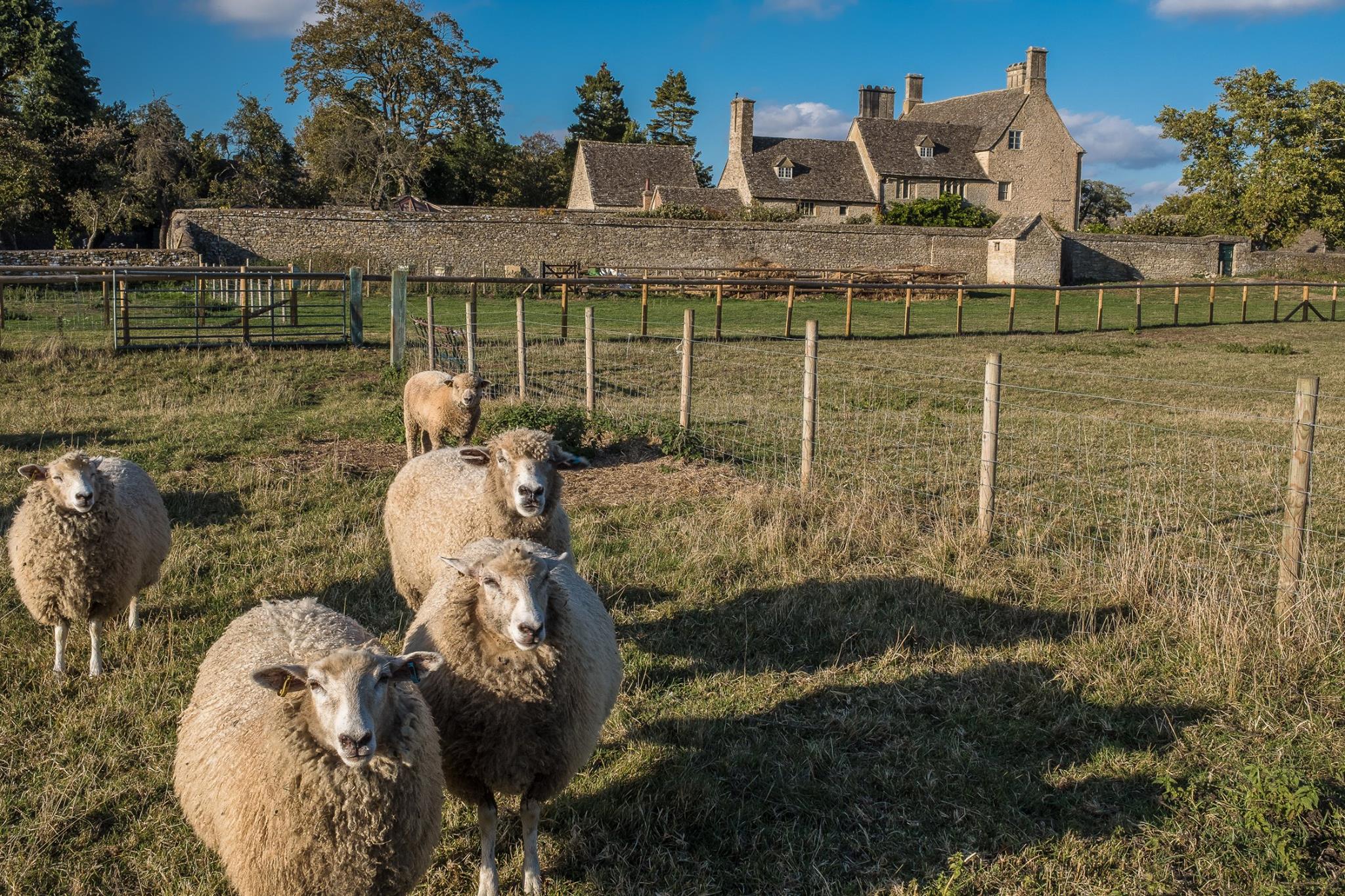 Cogges Manor Farm
