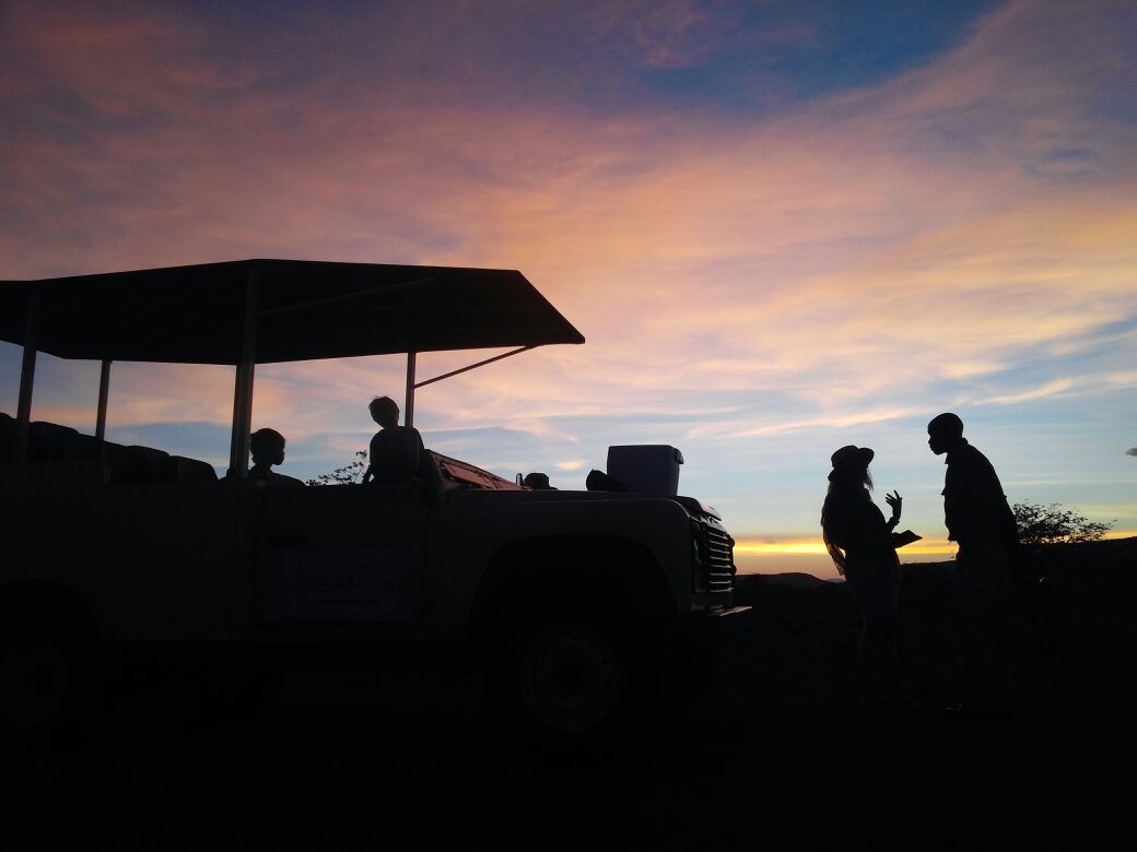 Etendeka Mountain Camp — Afternoon Scenic- & Game Drive