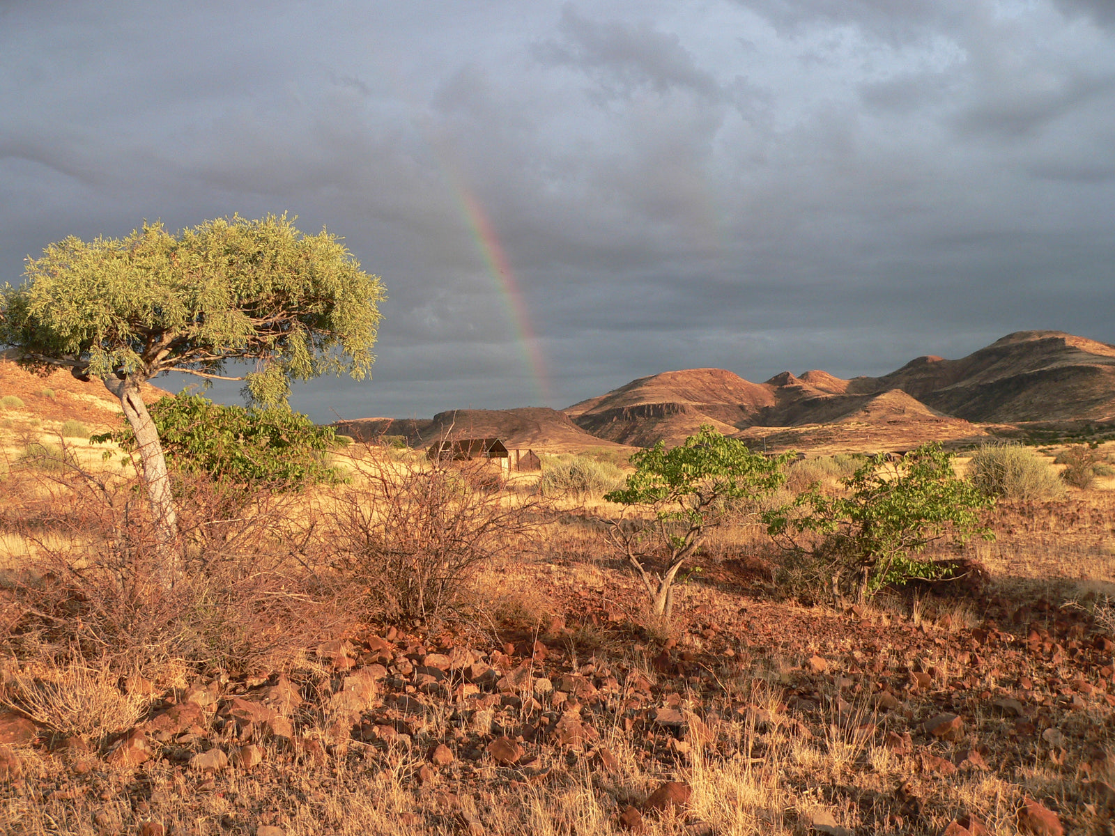 Etendeka Mountain Camp — Scenic- & Gameviewing Transfer to the Camp