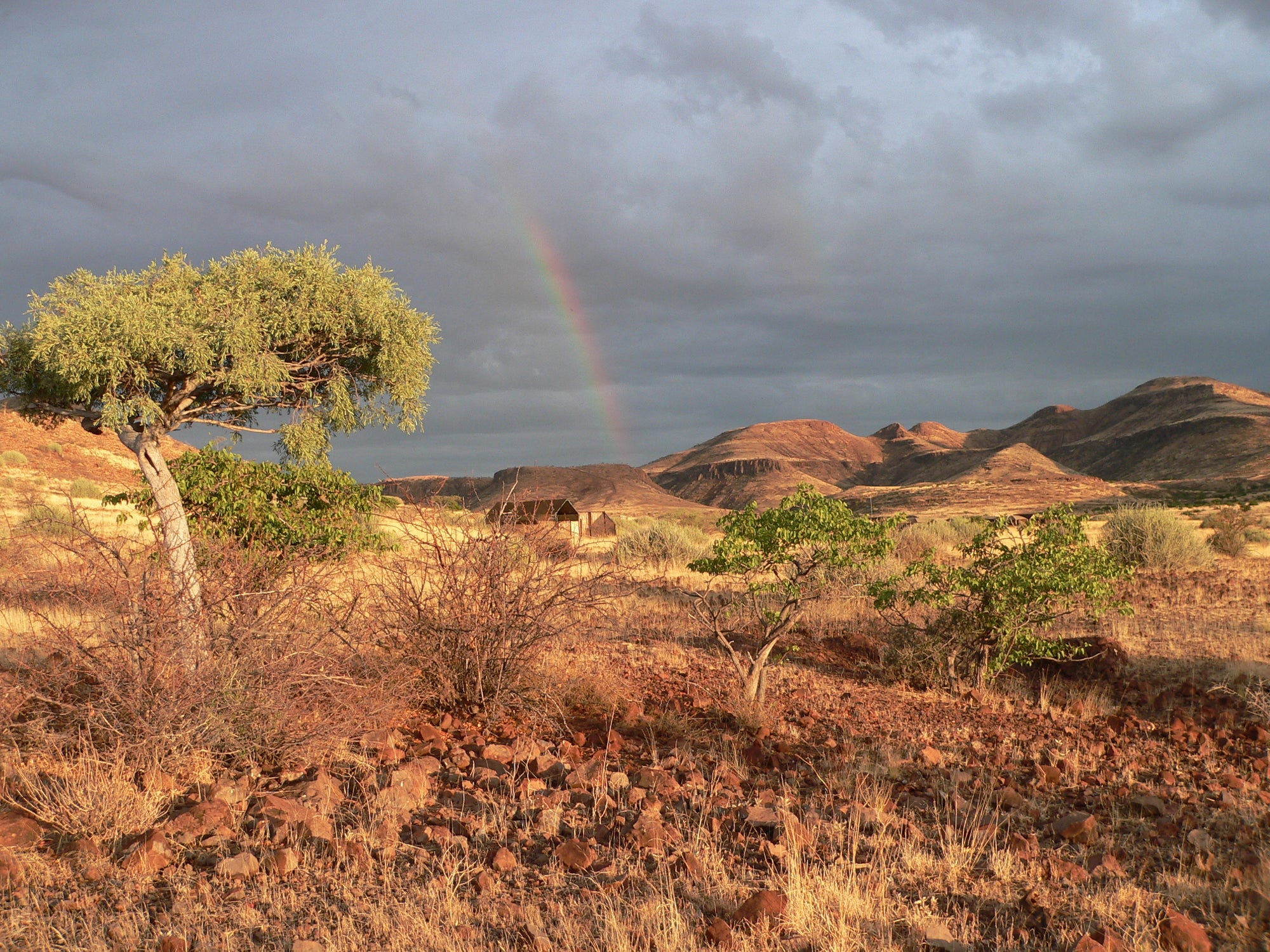 Scenic- & Gameviewing Transfer to the Camp 