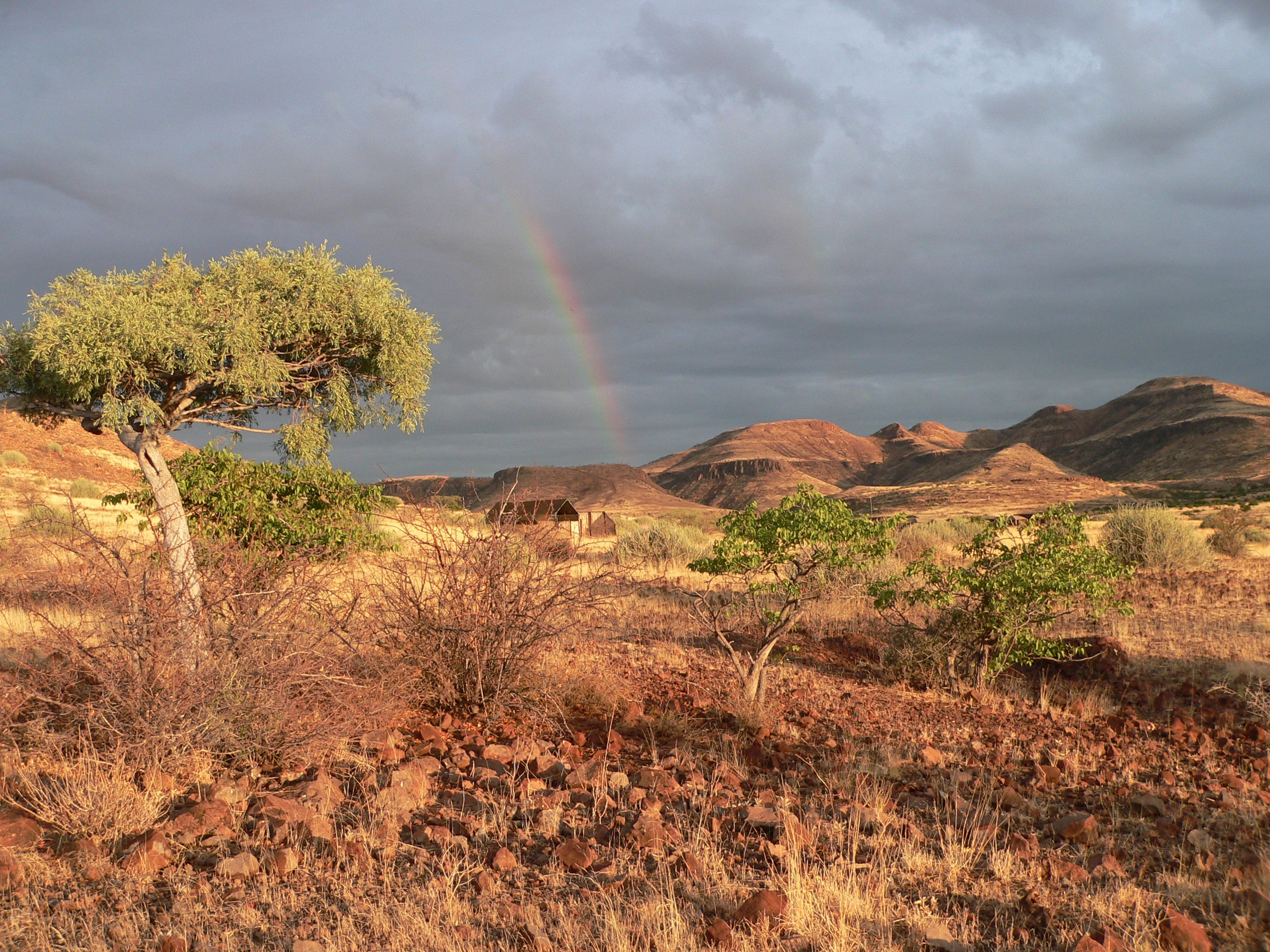 Etendeka Mountain Camp — Scenic- & Gameviewing Transfer to the Camp