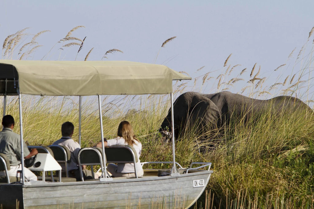 Motorboat trip in the heart of the Moremi Game Reserve at Camp Xakanaxa, Moremi Game Reserve, Botswana.