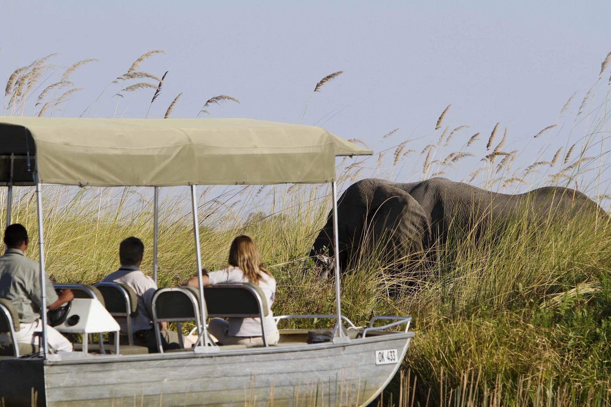 Motorboat trip in the heart of the Moremi Game Reserve at Camp Xakanaxa, Moremi Game Reserve, Botswana.