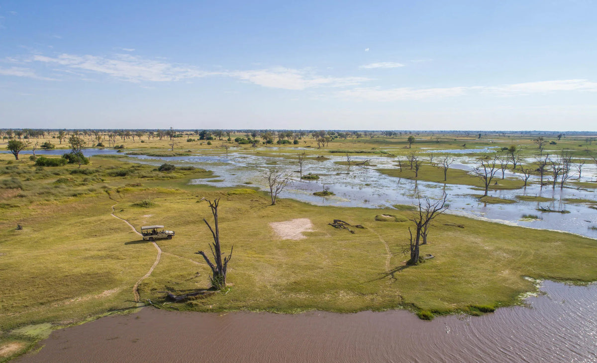 Camp Xakanaxa game drives