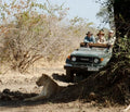 Featured image.