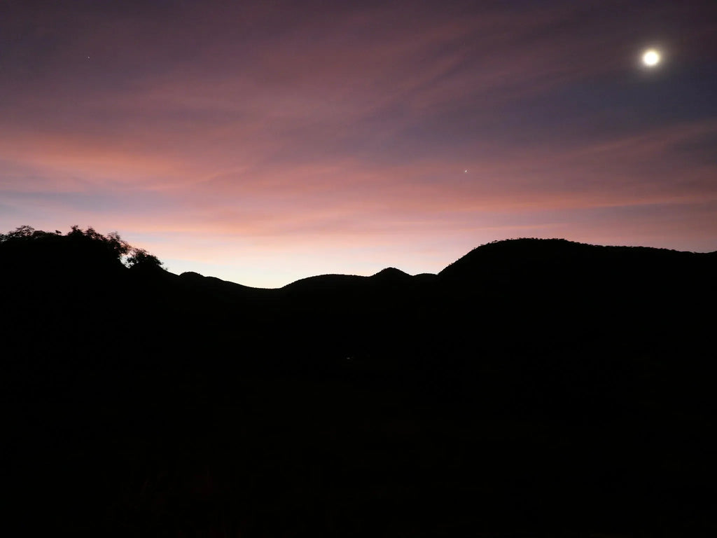 Featured image.