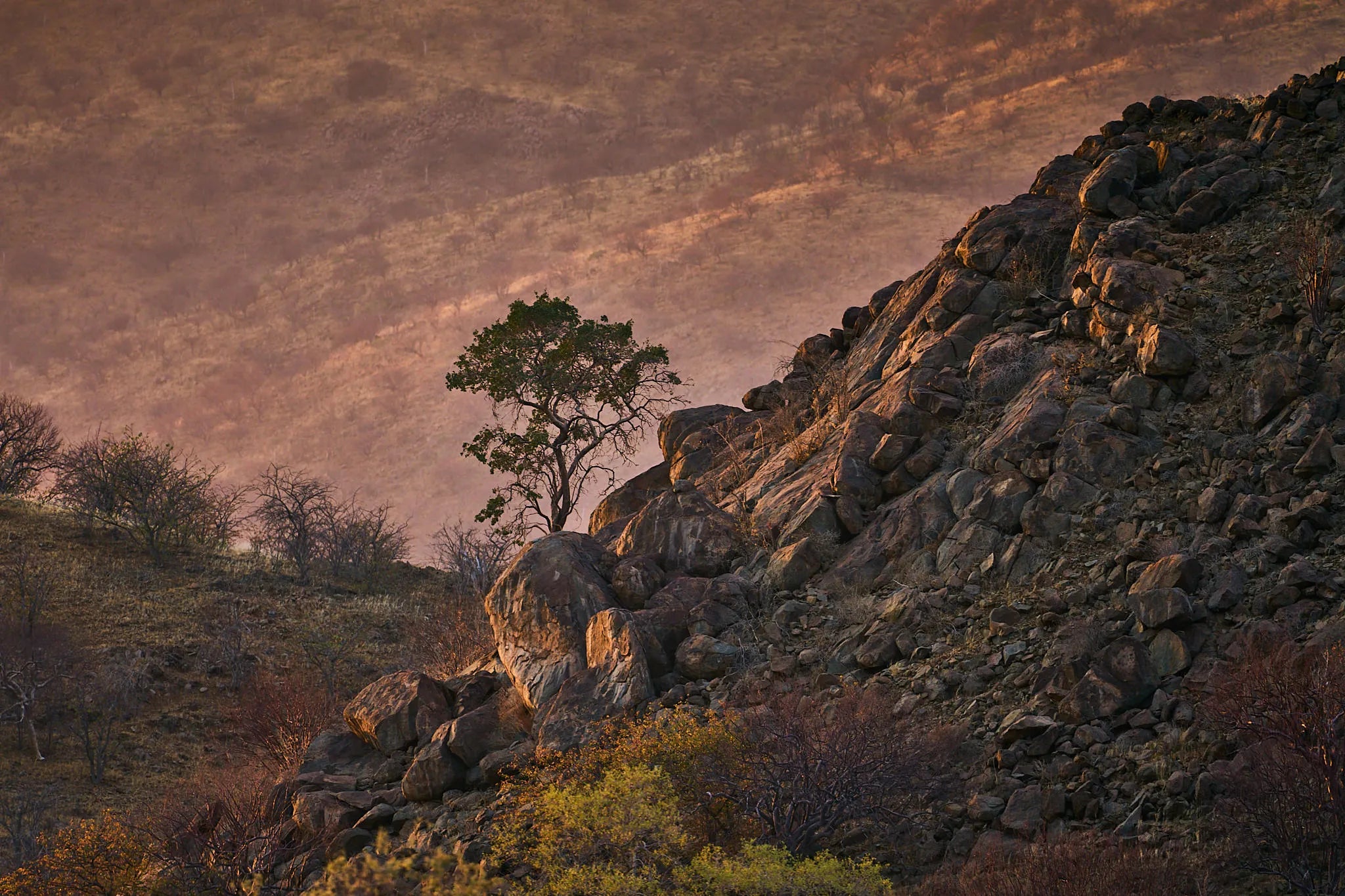 Landscapes at Huab Lodge, Damaraland, Namibia.