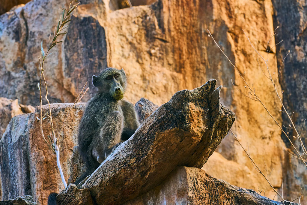 Local inhabitants at Huab Lodge, Damaraland, Namibia.