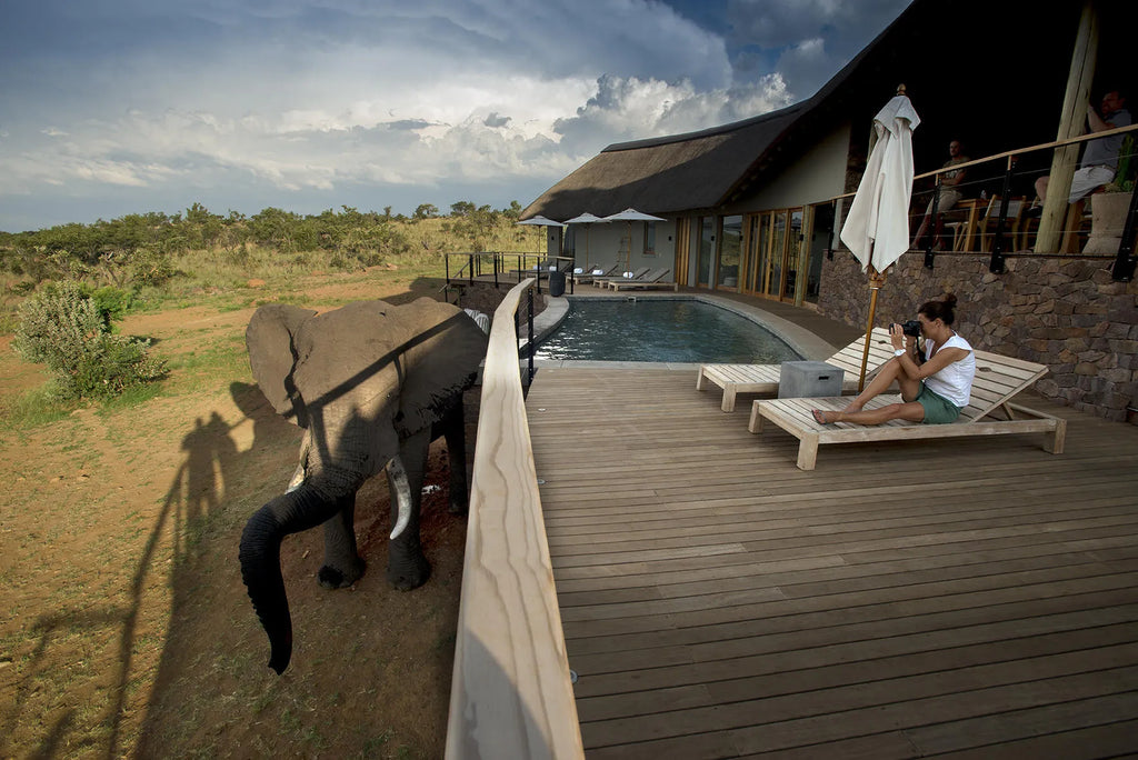 Mhondoro Safari Lodge and Villa at Mhondoro Safari Lodge & Villa, Welgevonden Game Reserve, South Africa.