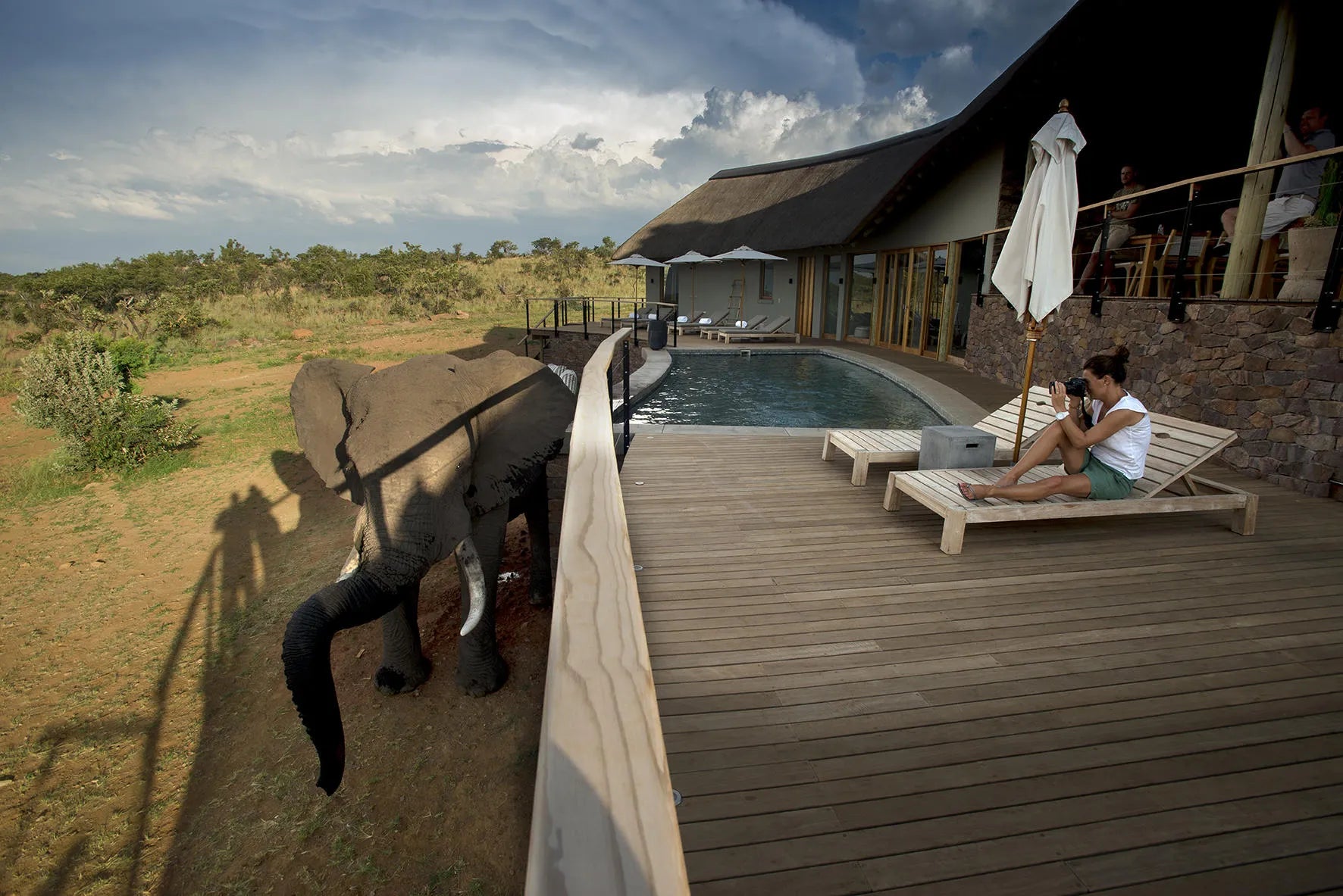 Mhondoro Safari Lodge and Villa at Mhondoro Safari Lodge & Villa, Welgevonden Game Reserve, South Africa.