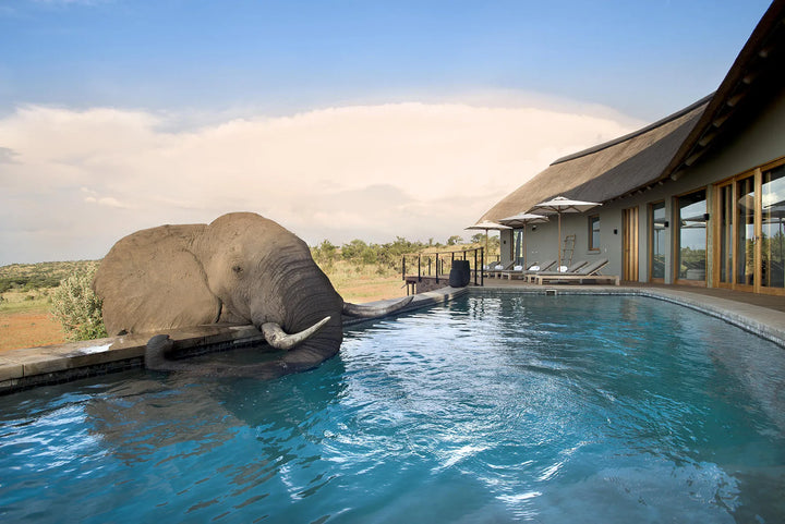 Mhondoro Safari Lodge & Villa