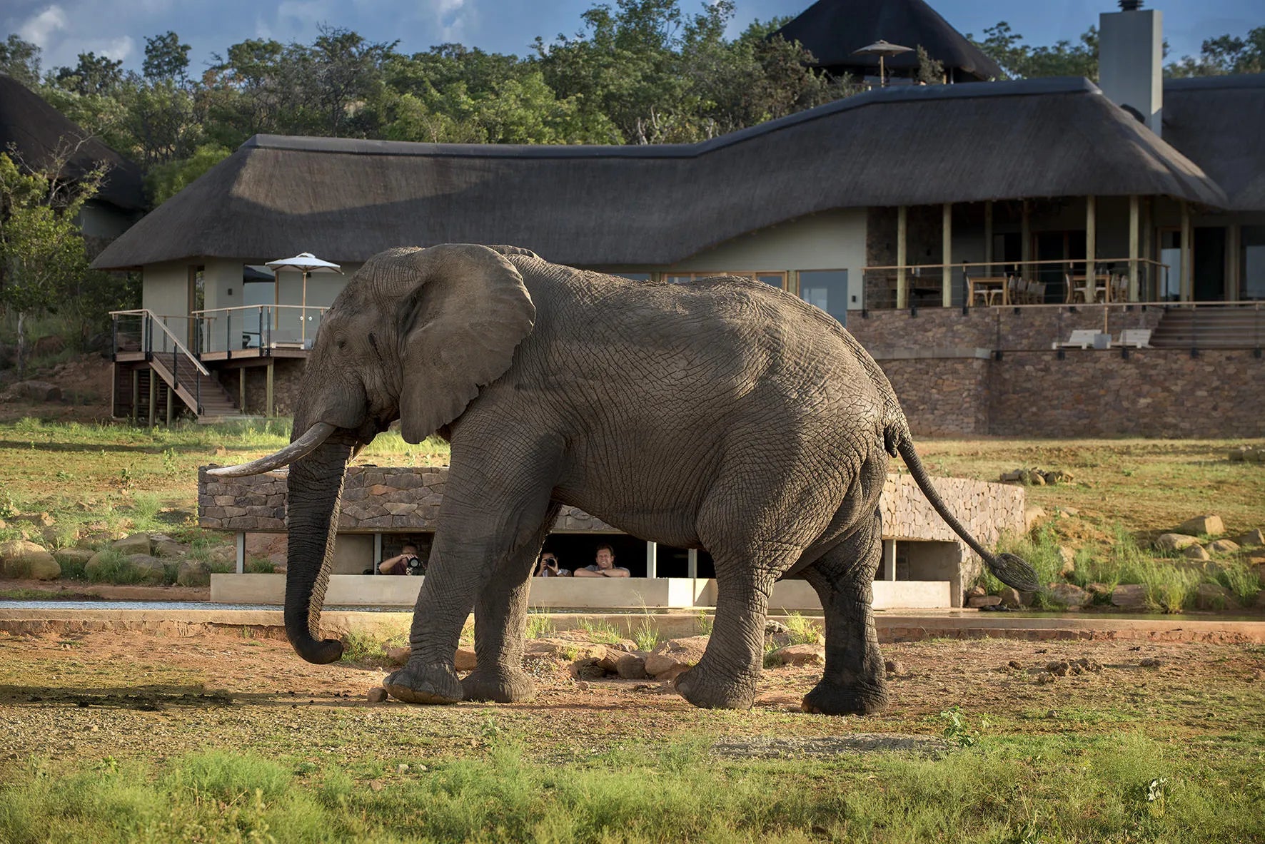 Mhondoro Safari Lodge and Villa at Mhondoro Safari Lodge & Villa, Welgevonden Game Reserve, South Africa.