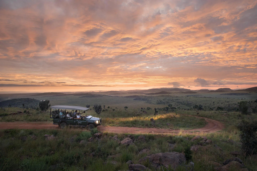 Mhondoro Safari Lodge and Villa at Mhondoro Safari Lodge & Villa, Welgevonden Game Reserve, South Africa.