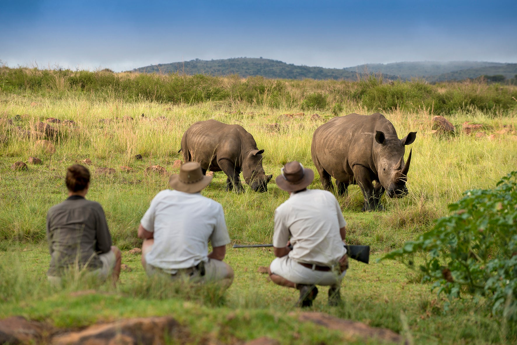 Mhondoro Safari Lodge and Villa