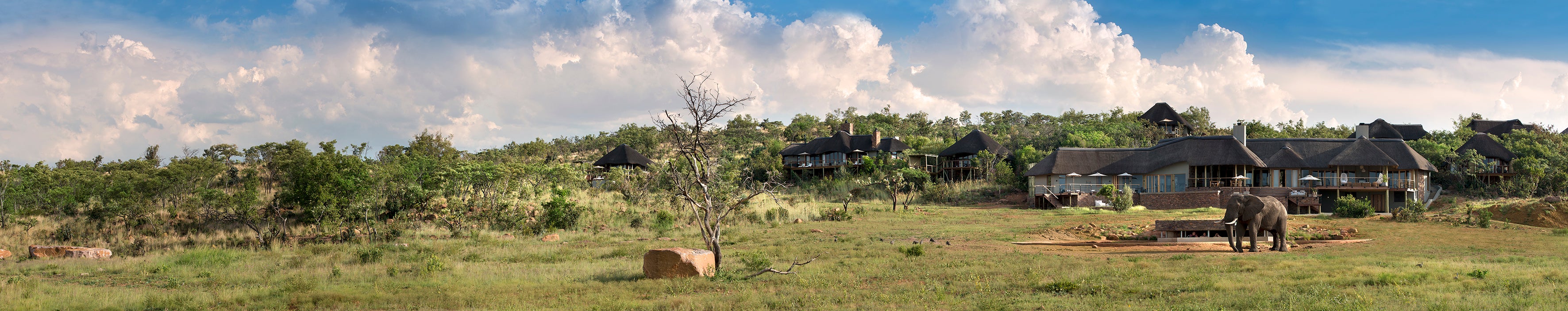 Mhondoro Safari Lodge and Villa