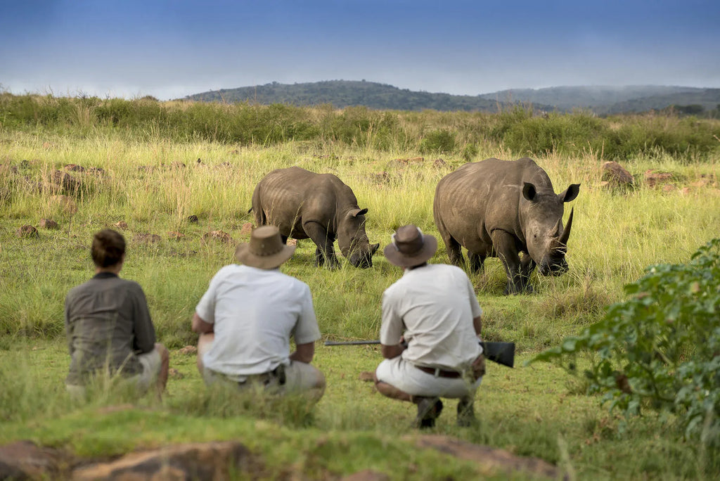 Mhondoro Safari Lodge and Villa at Mhondoro Safari Lodge & Villa, Welgevonden Game Reserve, South Africa.
