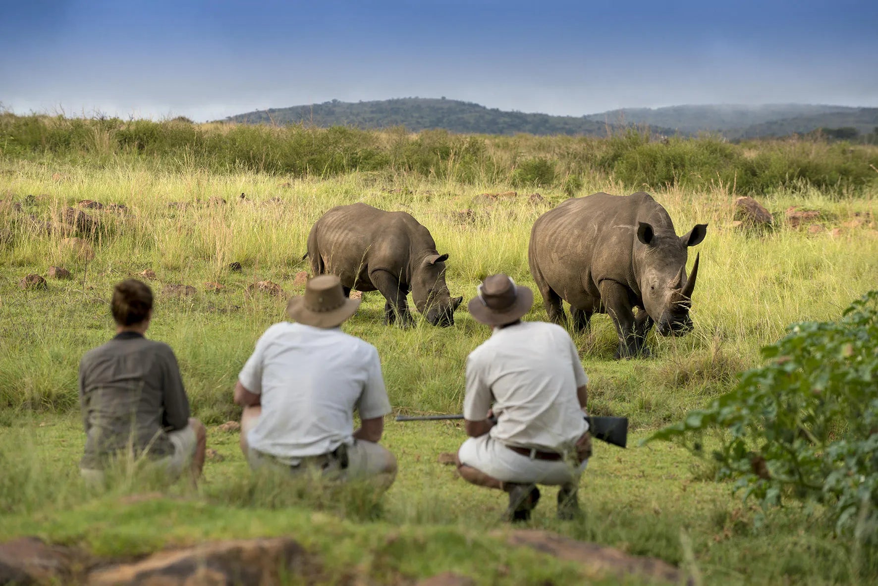 Mhondoro Safari Lodge and Villa at Mhondoro Safari Lodge & Villa, Welgevonden Game Reserve, South Africa.