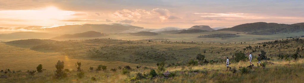 Mhondoro Safari Lodge and Villa at Mhondoro Safari Lodge & Villa, Welgevonden Game Reserve, South Africa.