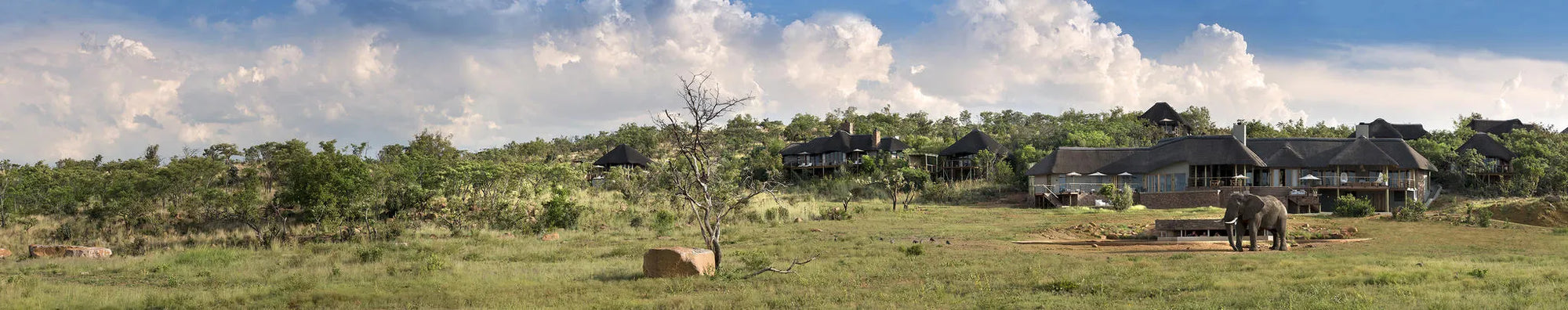 Mhondoro Safari Lodge and Villa at Mhondoro Safari Lodge & Villa, Welgevonden Game Reserve, South Africa.